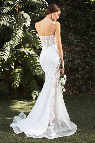 Mermaid Illusion Bridal Gown-1