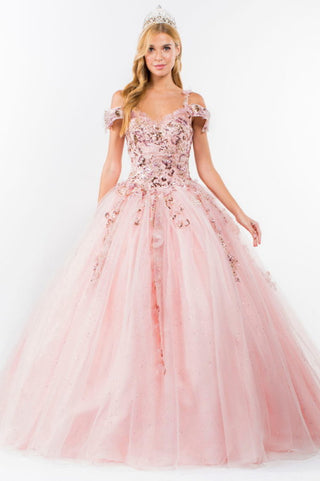 Embroidery Embellished Glitter Mesh Quinceanera Dress-3