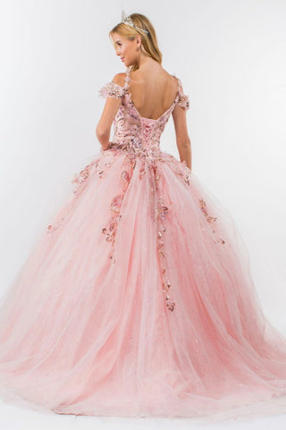 Embroidery Embellished Glitter Mesh Quinceanera Dress-4