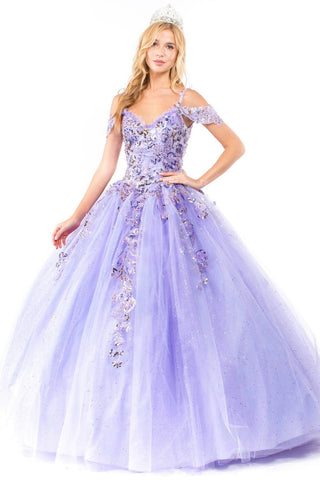 Embroidery Embellished Glitter Mesh Quinceanera Dress-0